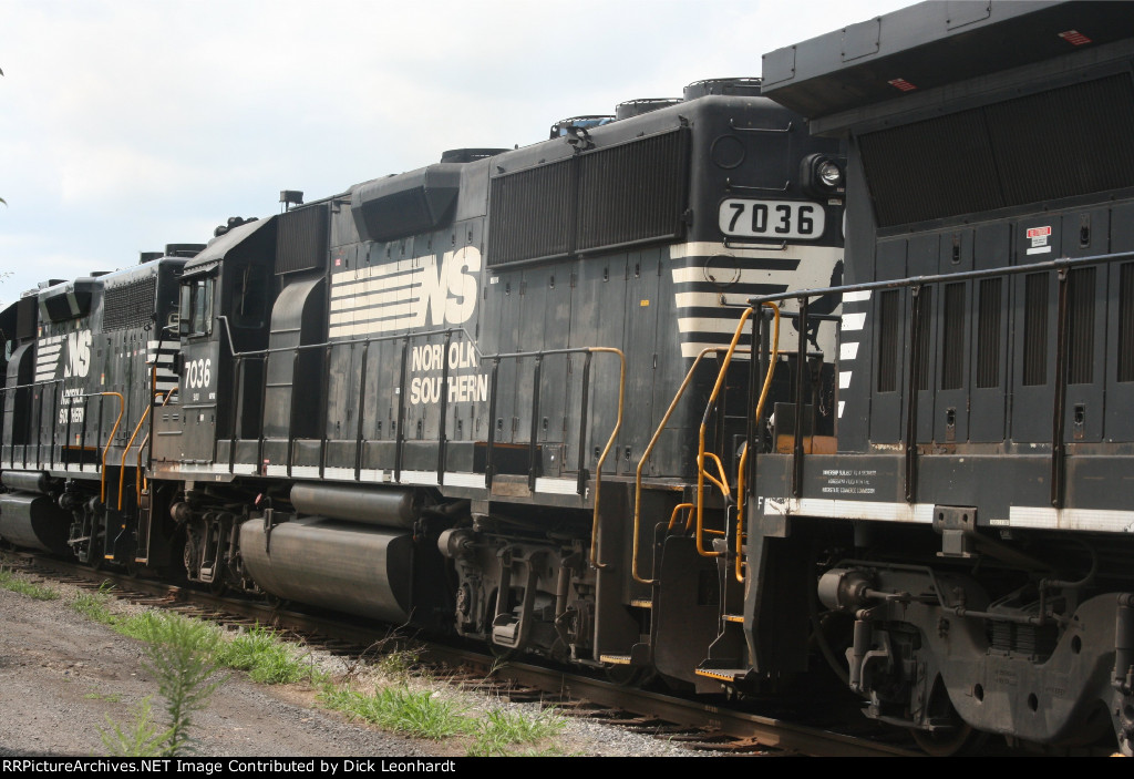 NS 7036